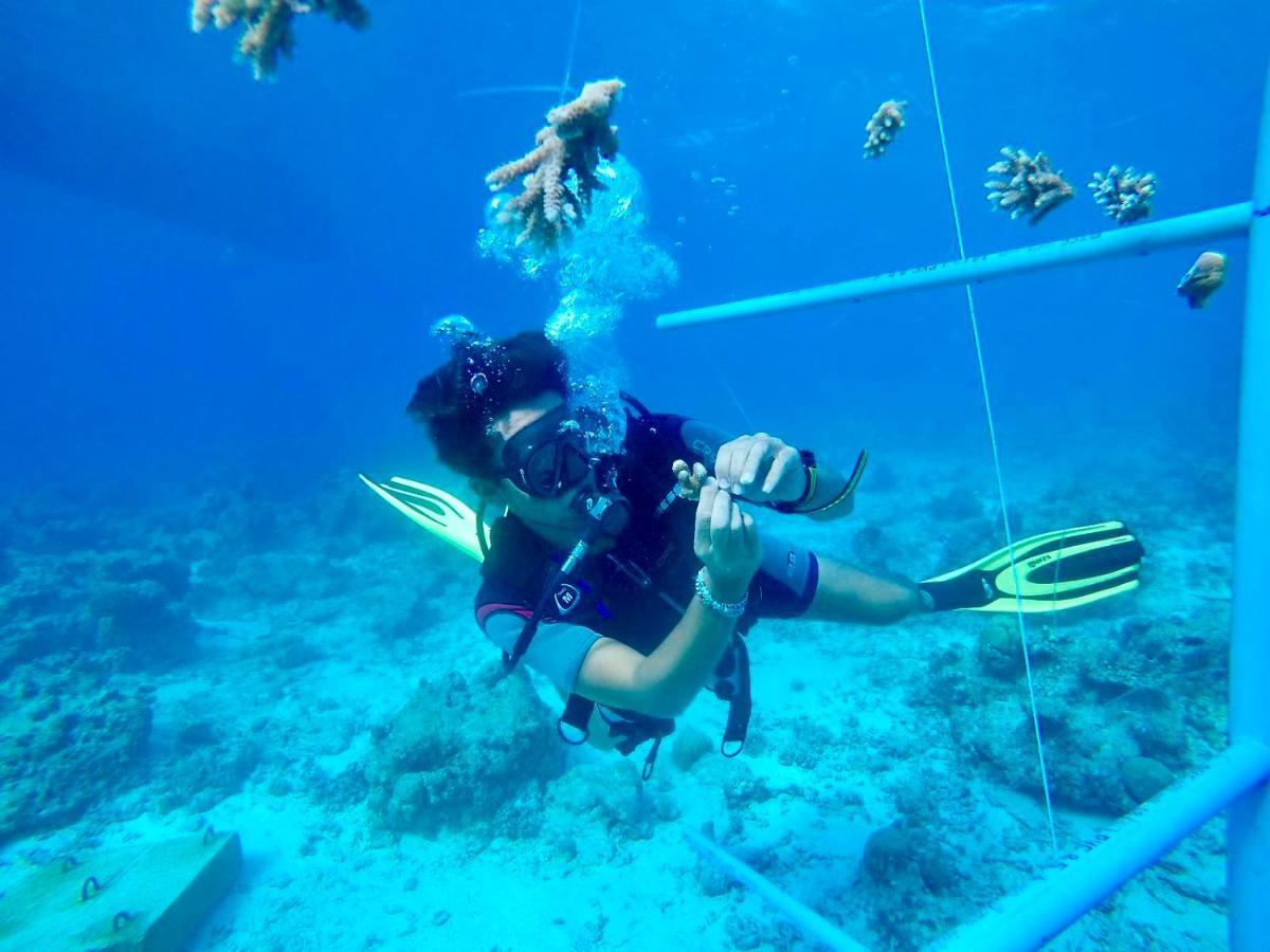 The Barefoot Eco Hotel Hanimaadhoo Island Luaran gambar