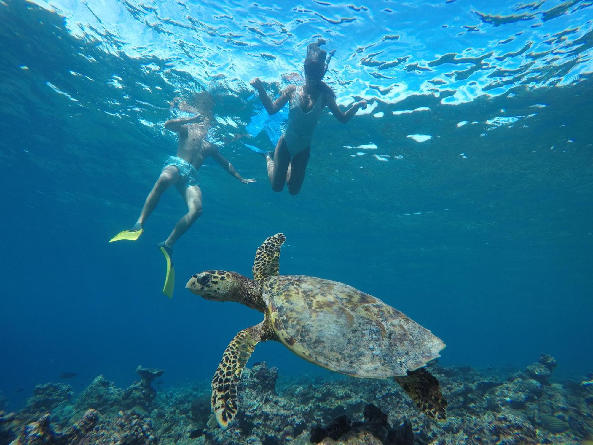 The Barefoot Eco Hotel Hanimaadhoo Island Luaran gambar